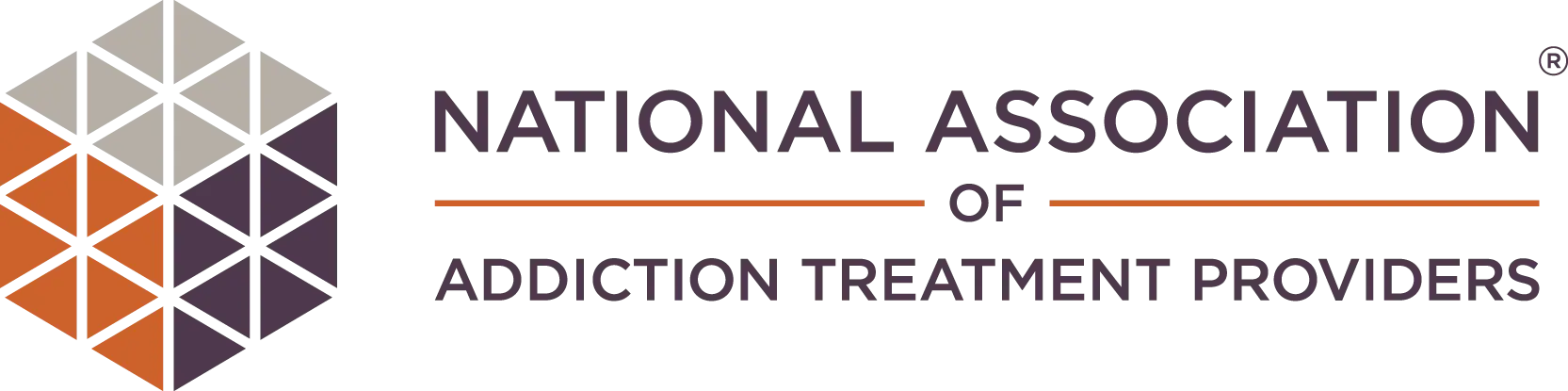 national association of addiction treatment providers logo