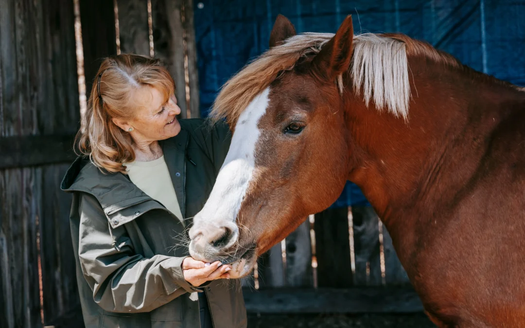 How Equine Therapy Supports Addiction Recovery and Mental Health Treatment