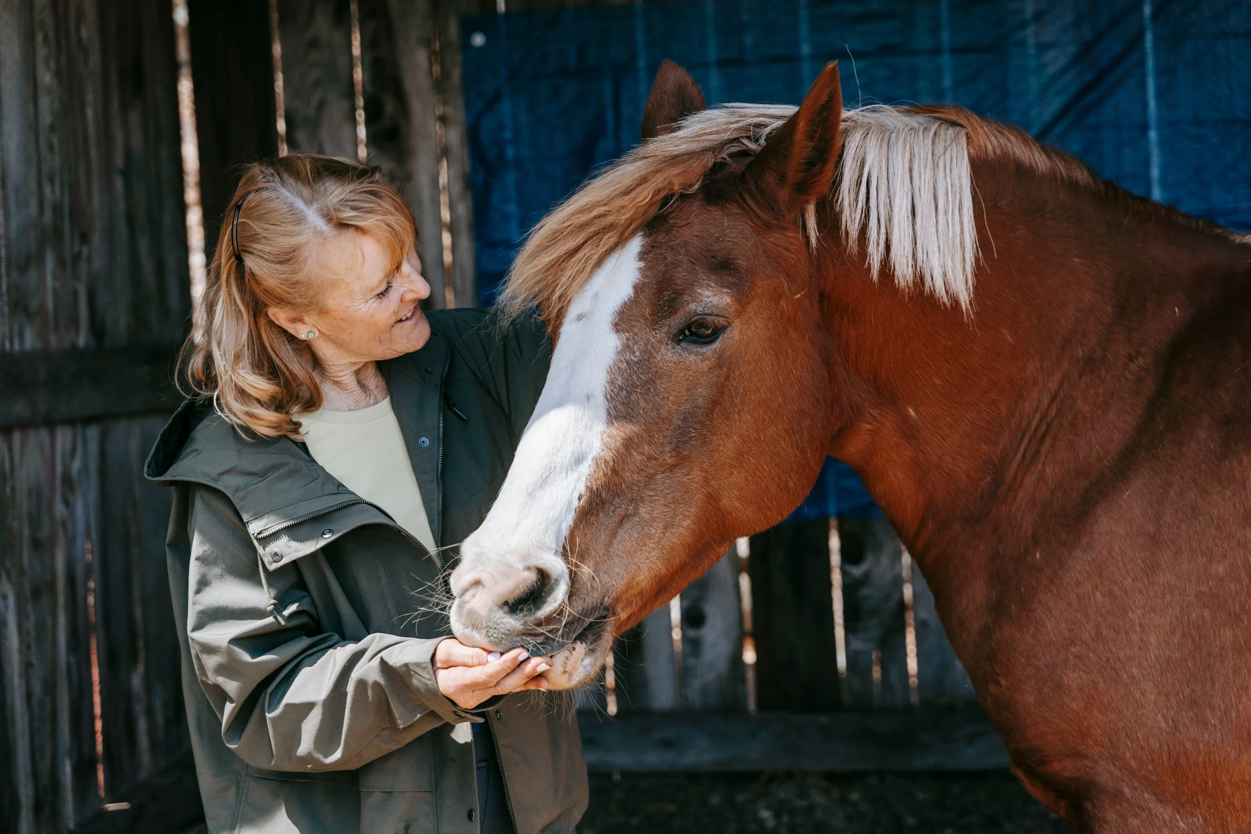 How Equine Therapy Supports Addiction Recovery and Mental Health Treatment
