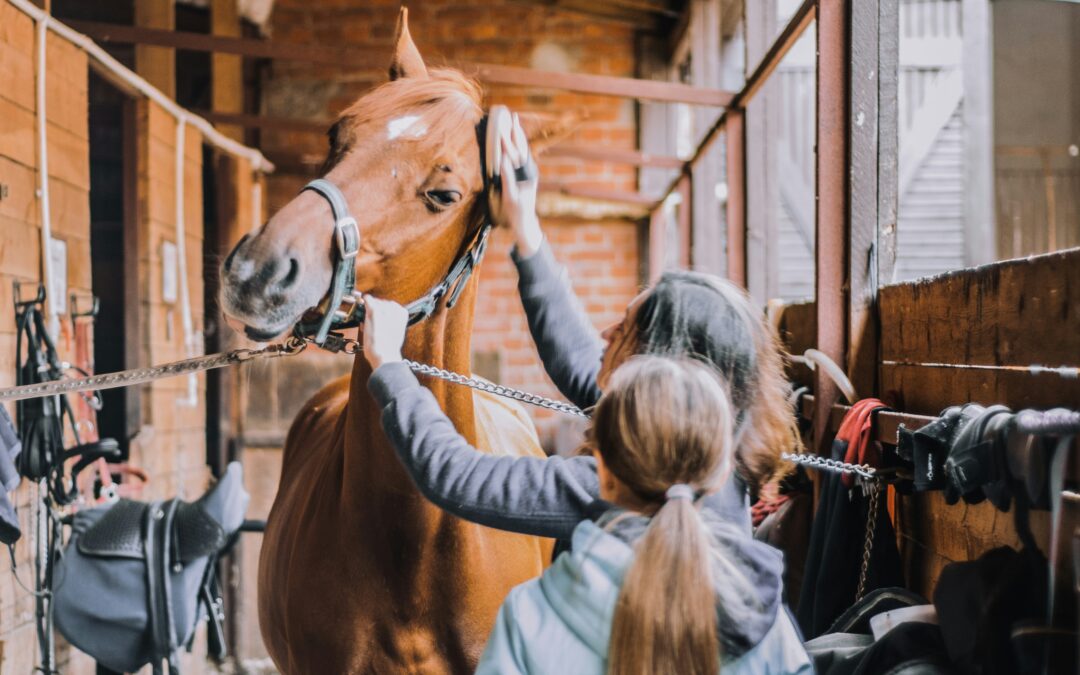 Why Is Equine Therapy Effective for Trauma?