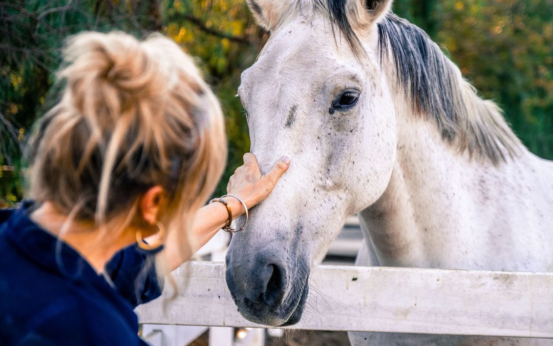 Do You Ride Horses in Equine Therapy? Why Ground-Based Work Heals Trauma Faster